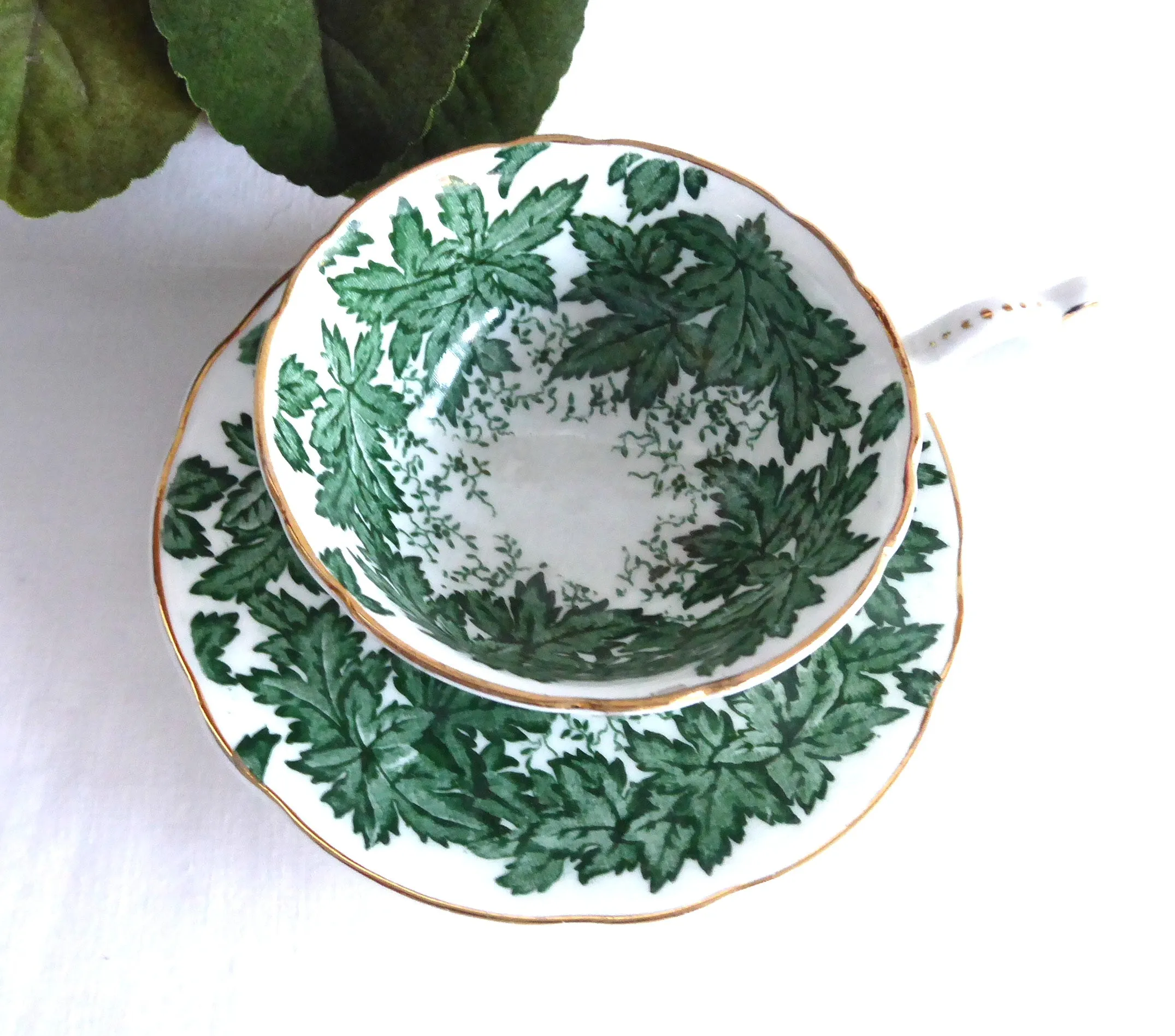 Maple Time Chintz Cup And Saucer Coalport Bone China Green Leaves 1949-1960