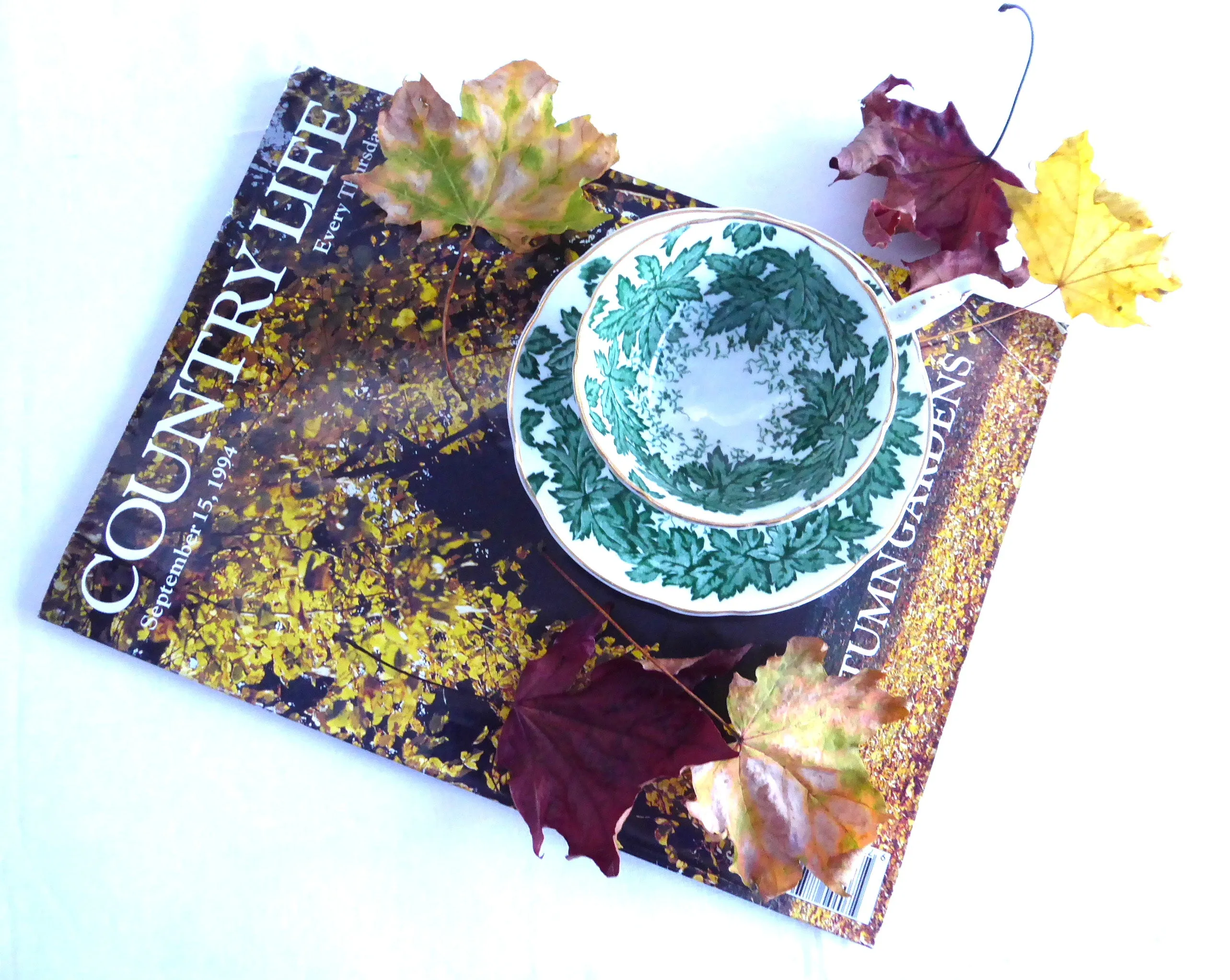 Maple Time Chintz Cup And Saucer Coalport Bone China Green Leaves 1949-1960